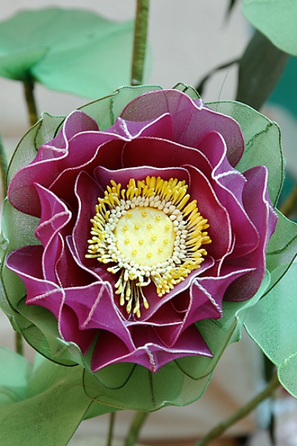 Nouvel an chinois-BKK-2010-030